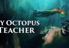 My Octopus Teacher 3